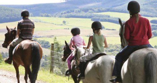 Family Horseriding