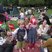 48. Bath's Royal Picnic in the Park 9