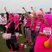 18. Race for Life - Basildon PM
