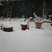 6. Cambs Snow Pics 4