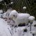 31. Langford Snow Pic