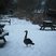 23. Your snowy pics
