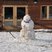 7. Your snowy pics