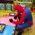 41. Spideyman Hits The West Country 15