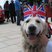 30. Jubilee Celebrations Horsham 9