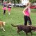 48. Race for Life Bristol Sunday 5K 87