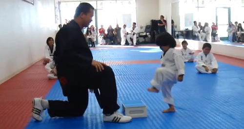 Taekwondo video