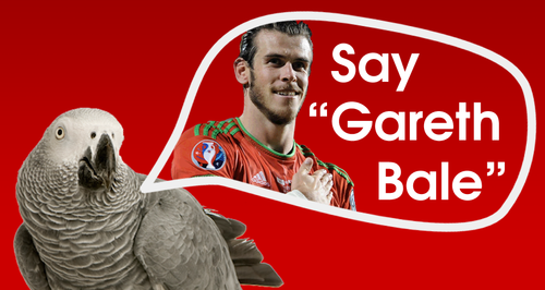 Say Gareth Bale