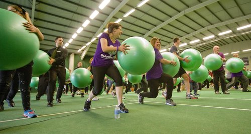 Swiss Ball pic1