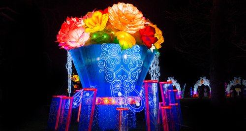 Magical Lanterns Festival