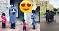 Little boy costume queen's guard salute photo vide