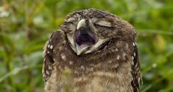 cute photos of the week